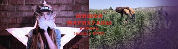 марихуана Богданович
